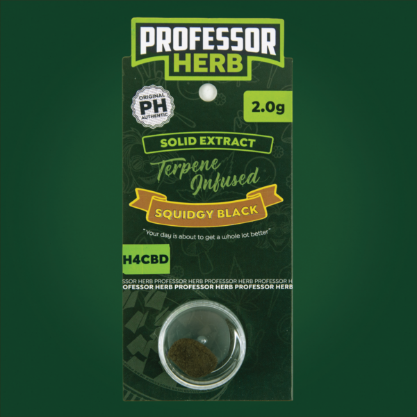 Professor Herb H4CBD Solid Extract 2.0g - Squidgy Black