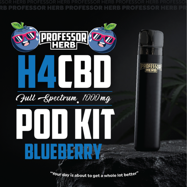 Professor Herb 1000MG H4CBD Full Spectrum 1ML Pod Kit - Blueberry