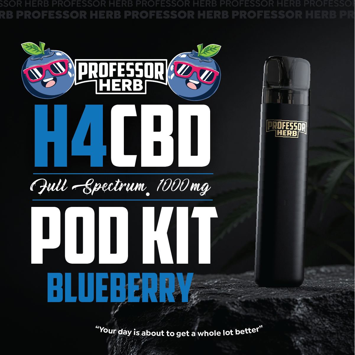 Professor Herb 1000MG H4CBD Full Spectrum 1ML Pod Kit - Blueberry